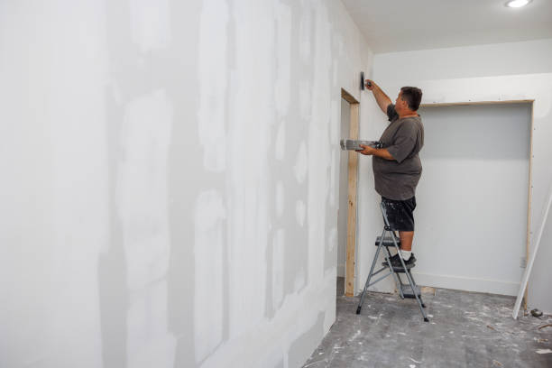 Biohazard Mold Removal in Fayetteville, GA
