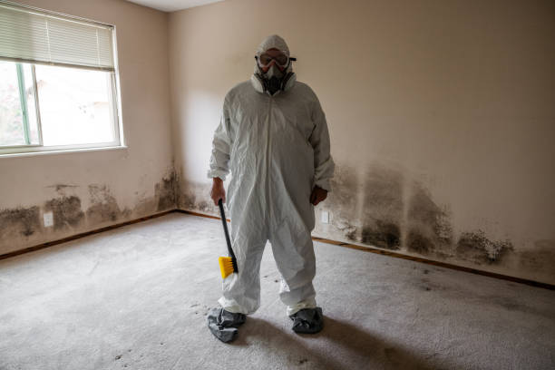 Best Post-Construction Mold Inspection  in Fayetteville, GA